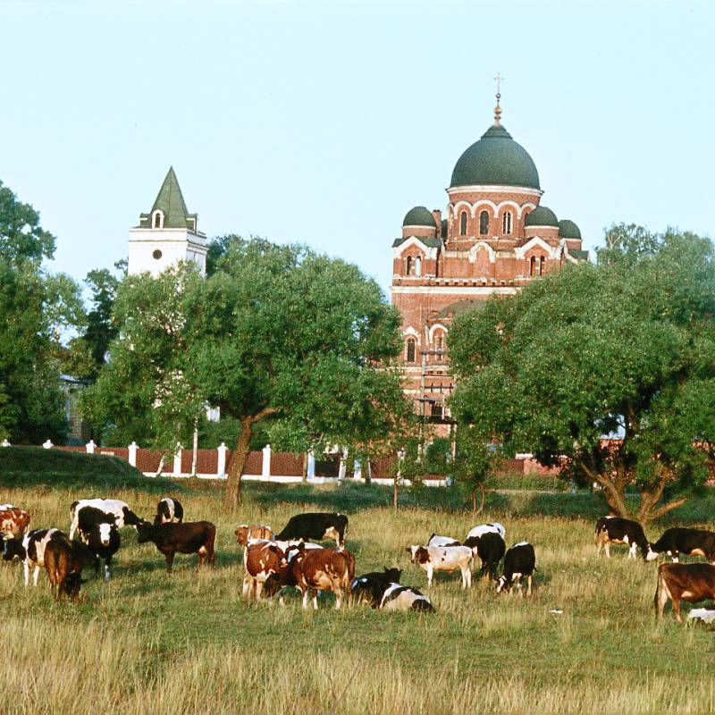 borodino._spaso-borodinskij_monastyr_001.jpg