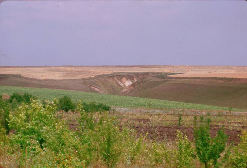 chernozem_i_ovragi_k_jugu_ot_kurska.jpg