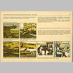 013 Бактериологическое (биологическое) оружие