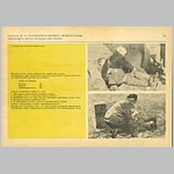 076 Норматив №10: Наложение резинового кровоостанавливающего жгута на бедро (на плечо)