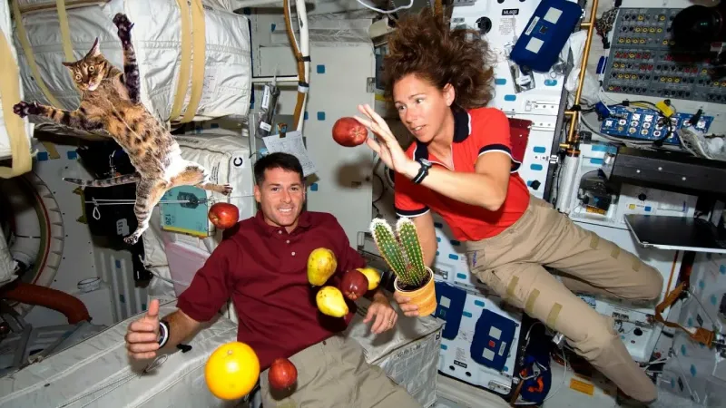 Невесомость Невесомость