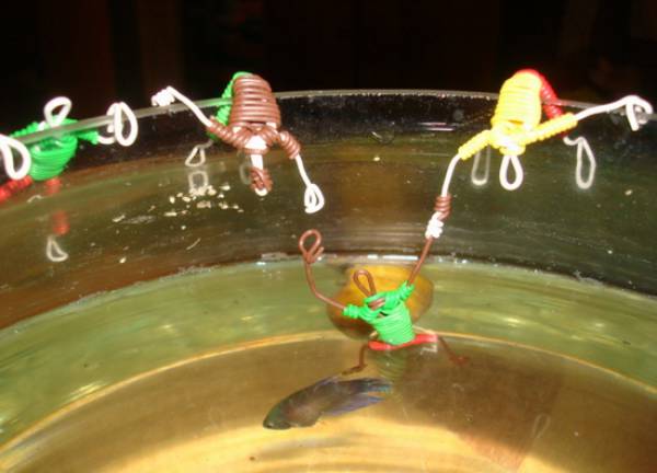 img478fd55fc4900.jpg