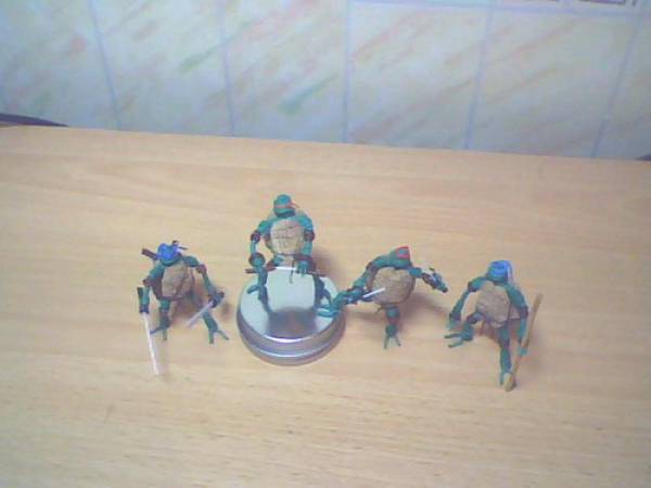 img49b559f476033.jpg