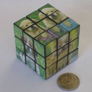 3x3x3_dogs.jpg