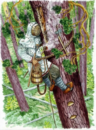 Бортник