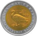 Краснозобая казарка