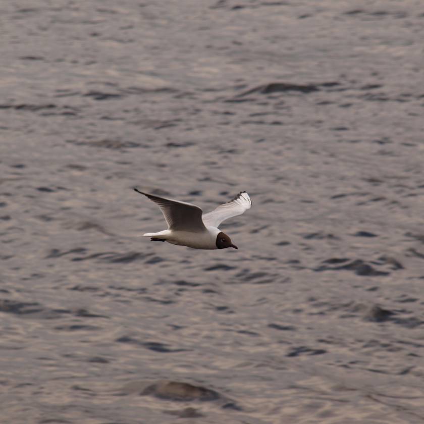 n5175216.jpg