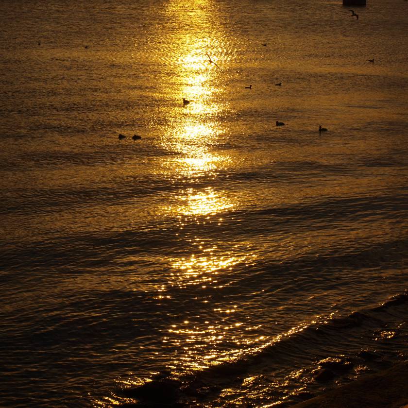 n5195854.jpg