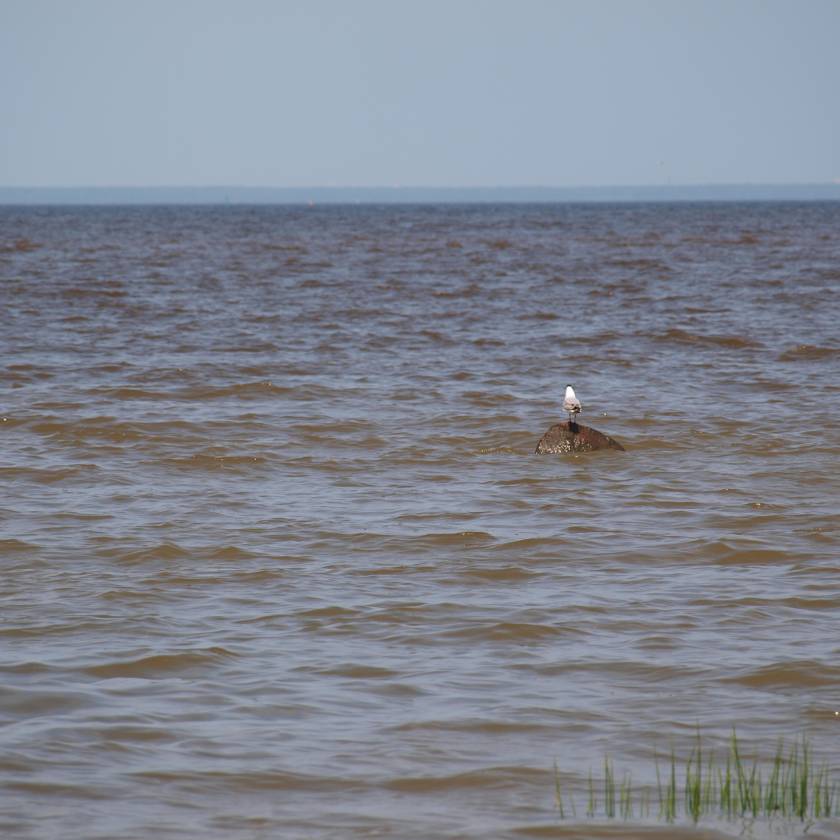 n5226935.jpg