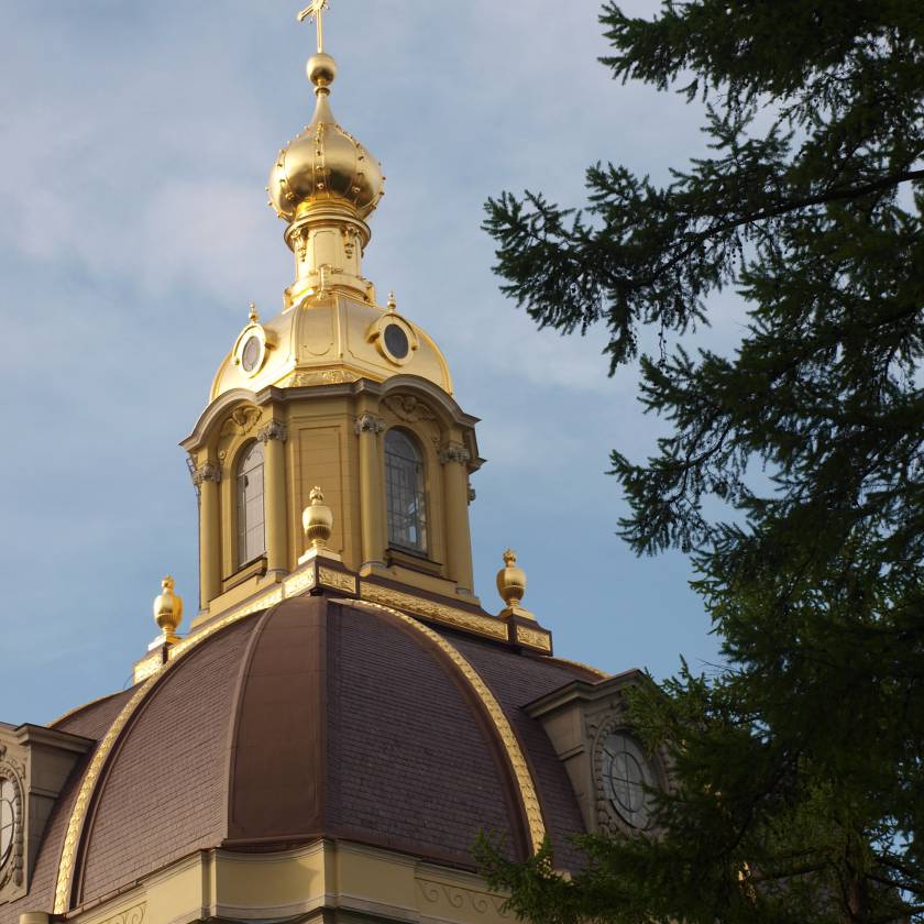 n5237933.jpg