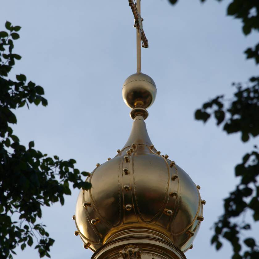 n5237949.jpg
