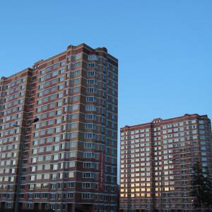 2620.jpg
