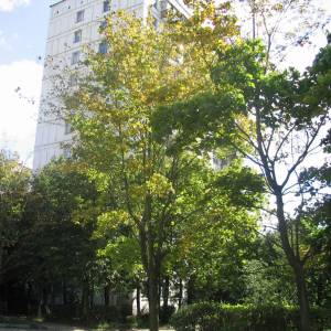 412.jpg