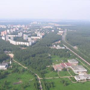 4521.jpg