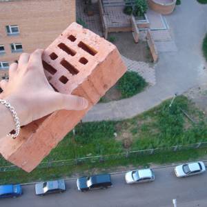 4597.jpg
