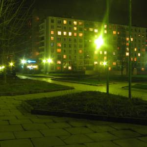 5927.jpg