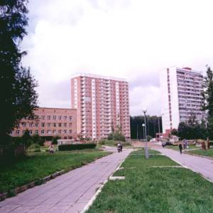 5986.jpg