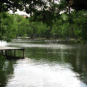 img_0158.jpg