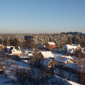 n1225001.jpg