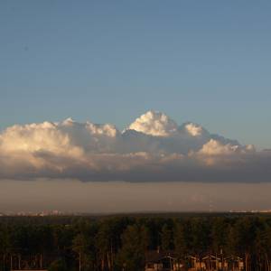 n8025529.jpg