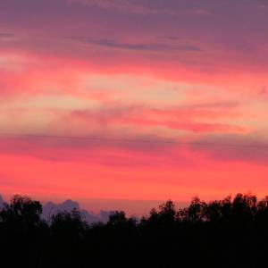 p1100004.jpg