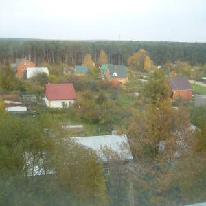 p1100370.jpg