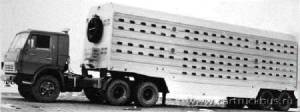 268e_1.jpg