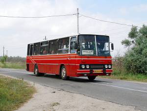 336d.jpg